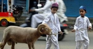 Tuntunan Qurban image