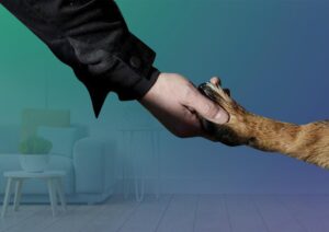 Muslim Pelihara Anjing? Ini Pendapat Muhammadiyah