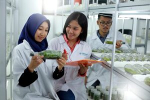 Dua Perguruan Tinggi Muhammadiyah Masuk ke-10 Besar Pendanaan PKM Terbanyak se-Indonesia