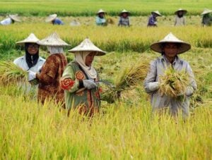Dakwah Pemberdayaan Masyarakat Tak Cukup Karitatif, Butuh Nafas Panjang dan Perencanaan Sistematis