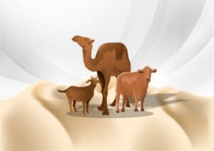 Doa dan Cara Menyembelih Hewan Kurban Sesuai Syariah