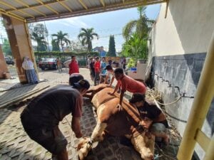 Lazismu Siap Kelola Dam Haji di Tanah Air Secara Transparan dan Profesional