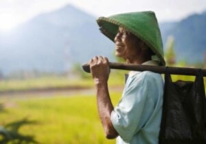 Prihatin Terhadap Nasib Petani, Ini Saran Muhammadiyah untuk Pemerintah image