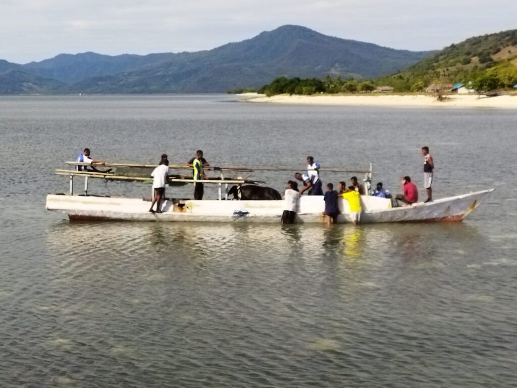 Cerita LazisMu Sikka, Berkurban di Pulau Terpencil untuk Menjaga Persatuan di atas Perbedaan