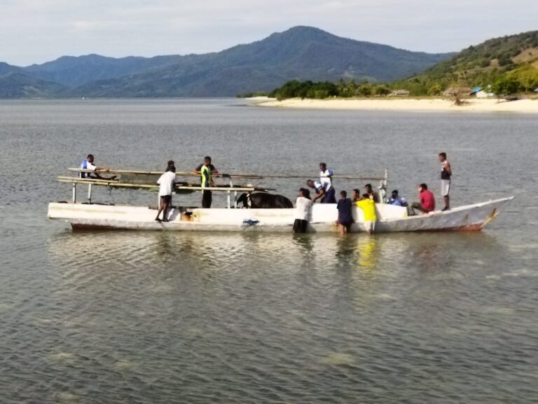 Cerita LazisMu Sikka, Berkurban di Pulau Terpencil untuk Menjaga Persatuan di atas Perbedaan image