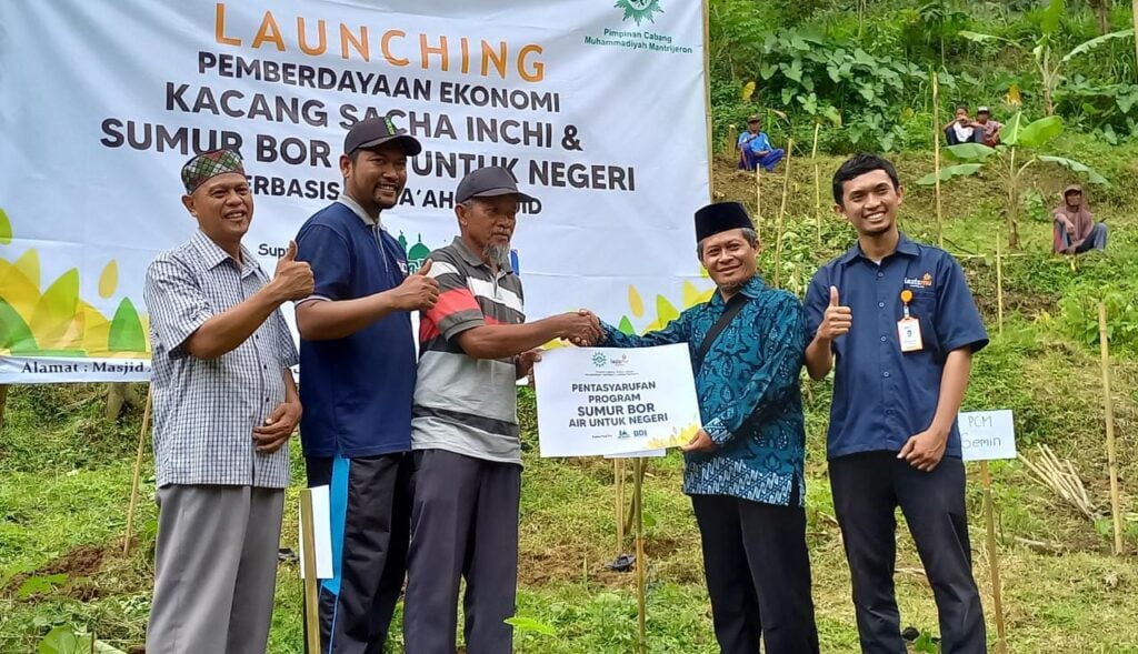 Kacang Sacha Inchi, Solusi Pemberdayaan Ekonomi Lazismu untuk Lahan Wakaf
