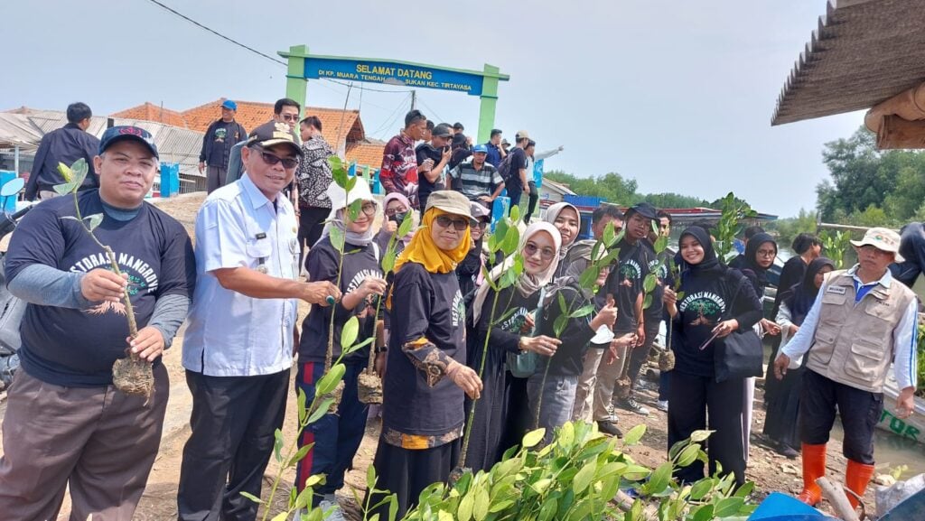 Tanam Mangrove, Gerakan Lazismu Bersama UIN  Sultan Maulana Hasanuddin Kurangi Pemanasan Global