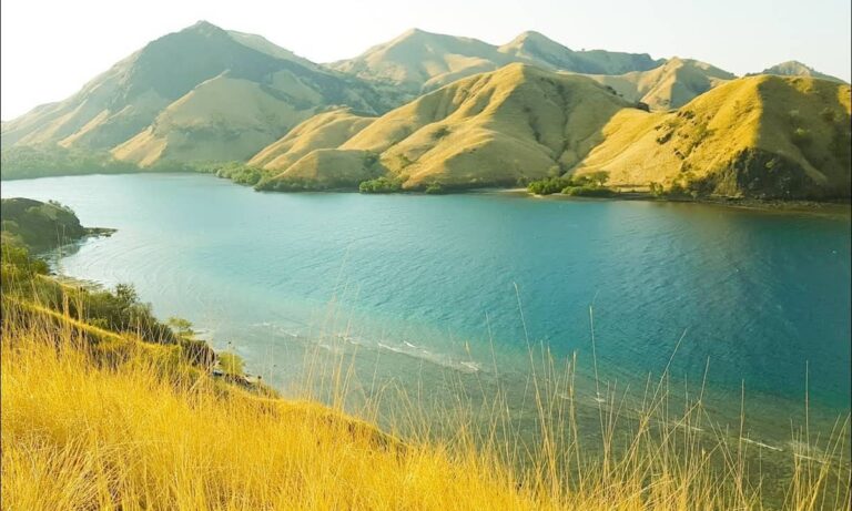 Muhammadiyah NTT Segera Gelar Musywil, Bertempat di Kota Bersejarah, Ende