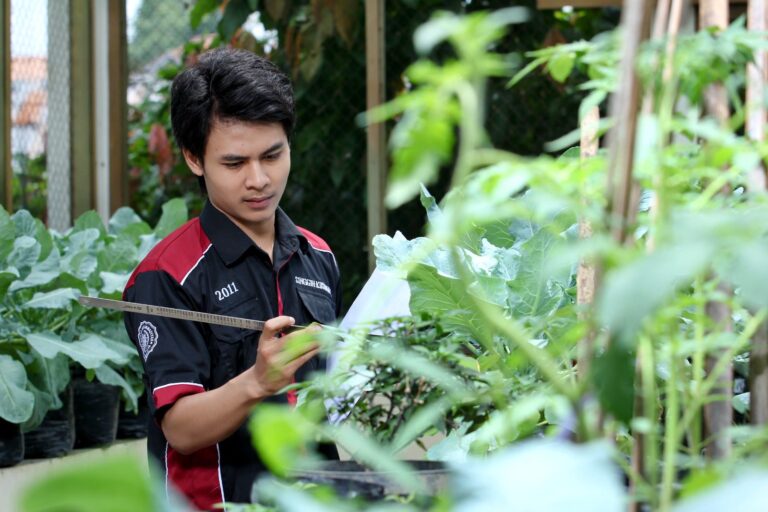 Hasil Kerja Keras, Fakultas Pertanian UMY Peringkat Satu PTS Bidang Pertanian