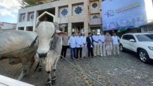 Menhan RI Salurkan 2 Sapi ke PP Muhammadiyah, RS PKU Kurban 11 Lembu dan 17 Kambing