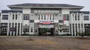 Majelis Dikdasmen dan MPI Kolaborasi Perkuat Publikasi Sekolah Muhammadiyah