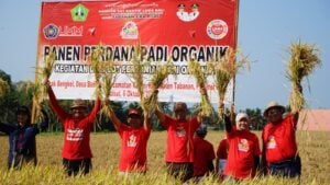 Berhasil Jaga Kelestarian Budaya, Pangan, dan Implementasi Pendidikan, UMM Diapresiasi UNESCO