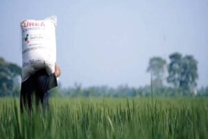 Prihatin, Anwar Abbas Sebut Sulitnya Akses Distribusi Pupuk dan Permainan Tengkulak Pengaruhi Kesejahteraan Petani 