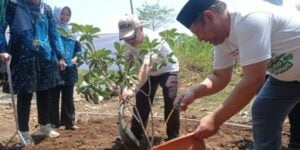 Jalur Politik Terjal dan Buntu, Muhammadiyah Tempuh Jalur Teologis Menyelamatkan Semesta