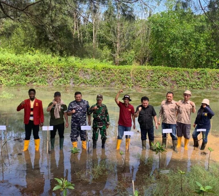 Respon Perubahan Iklim dan Tingkatkan Ekonomi Masyarakat, MLH Tanam Pohon Mangrove