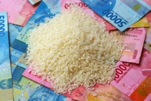 Pelopori Pengelolaan Zakat, Muhammadiyah Kembali Hadirkan Fungsi Sosial dari Agama