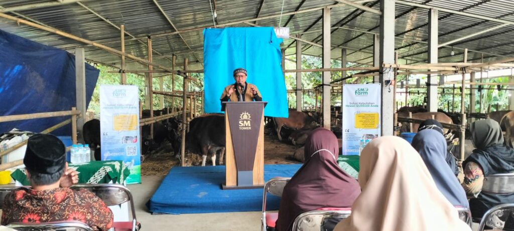 Baru Diresmikan, SM Farm Berhasil Jual Ratusan Ekor Sapi Siap Kurban