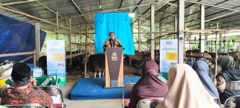 Baru Diresmikan, SM Farm Berhasil Jual Ratusan Ekor Sapi Siap Kurban