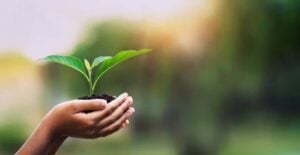 Hutan Malah Ditebang, Hadis Nabi Saw: Menanam Pohon Berpahala Sedekah