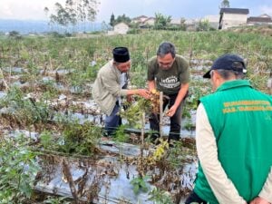 Mentransformasi Muhammadiyah sebagai Gerakan Kedaulatan Pangan