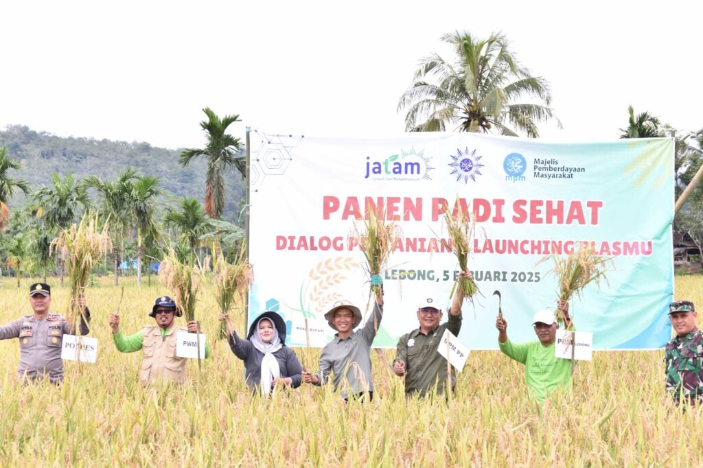 Muhammadiyah Panen Raya Padi Sehat: Ikhtiar Wujudkan Kedaulatan Pangan