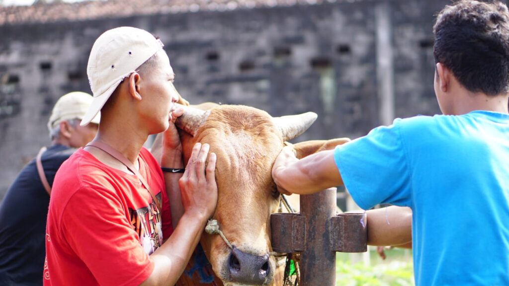 Bolehkah Kurban secara Patungan?