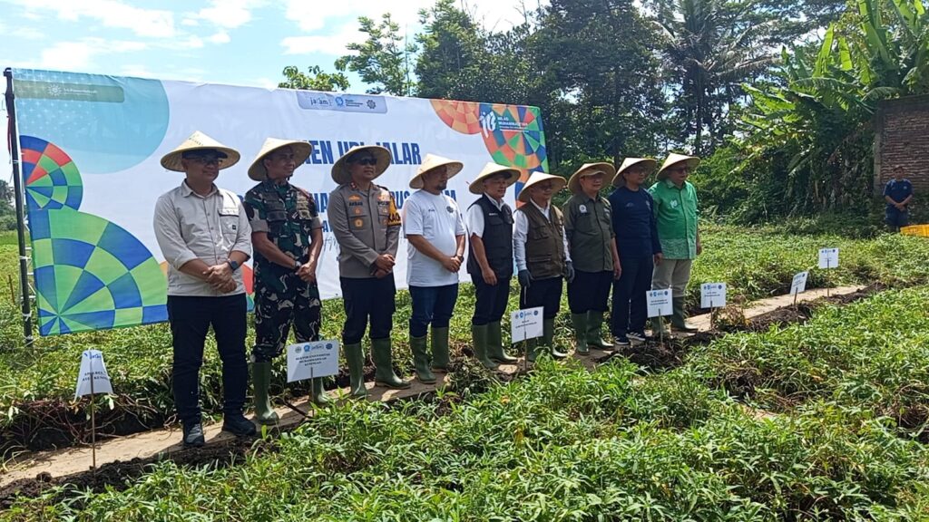 Panen Ubi Jalar di Kuningan, Abdul Mu’ti Tegaskan Pentingnya Regenerasi Petani