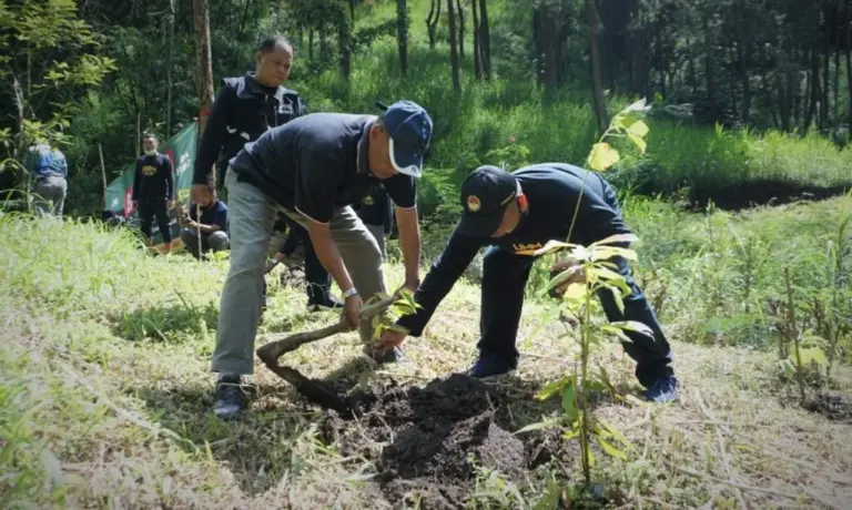 Konservasi Pujon Hill Umm Berbuah Manis Sumber Mata Air Baru Muncul Dari
