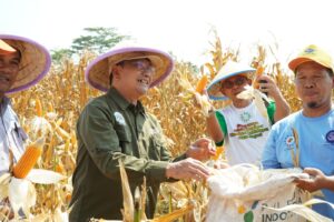 Mpm Muhammadiyah Dukung Kedaulatan Pangan Dengan Jaga Keragaman - MPM Muhammadiyah Dukung