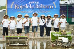 Rojolele Reborn Ikhtiar Muhammadiyah Wujudkan Kedaulatan Pangan - Rojolele Reborn, Ikhtiar Muhammadiyah
